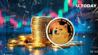 با نزدیک شدن به سال ۲۰۲۵، Dogecoin شاهد حرکت ۲۵۸ میلیون دلاری در ۲۴ ساعت است.