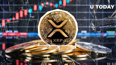 XRP پیشرفت بزرگی در فعال سازی کیف پول می بیند، قیمت چشم 2 دلار