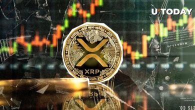 XRP با 2.50 دلار به بالاترین حد شش سال اخیر رسید – چه چیزی باعث شد این اتفاق بیفتد؟