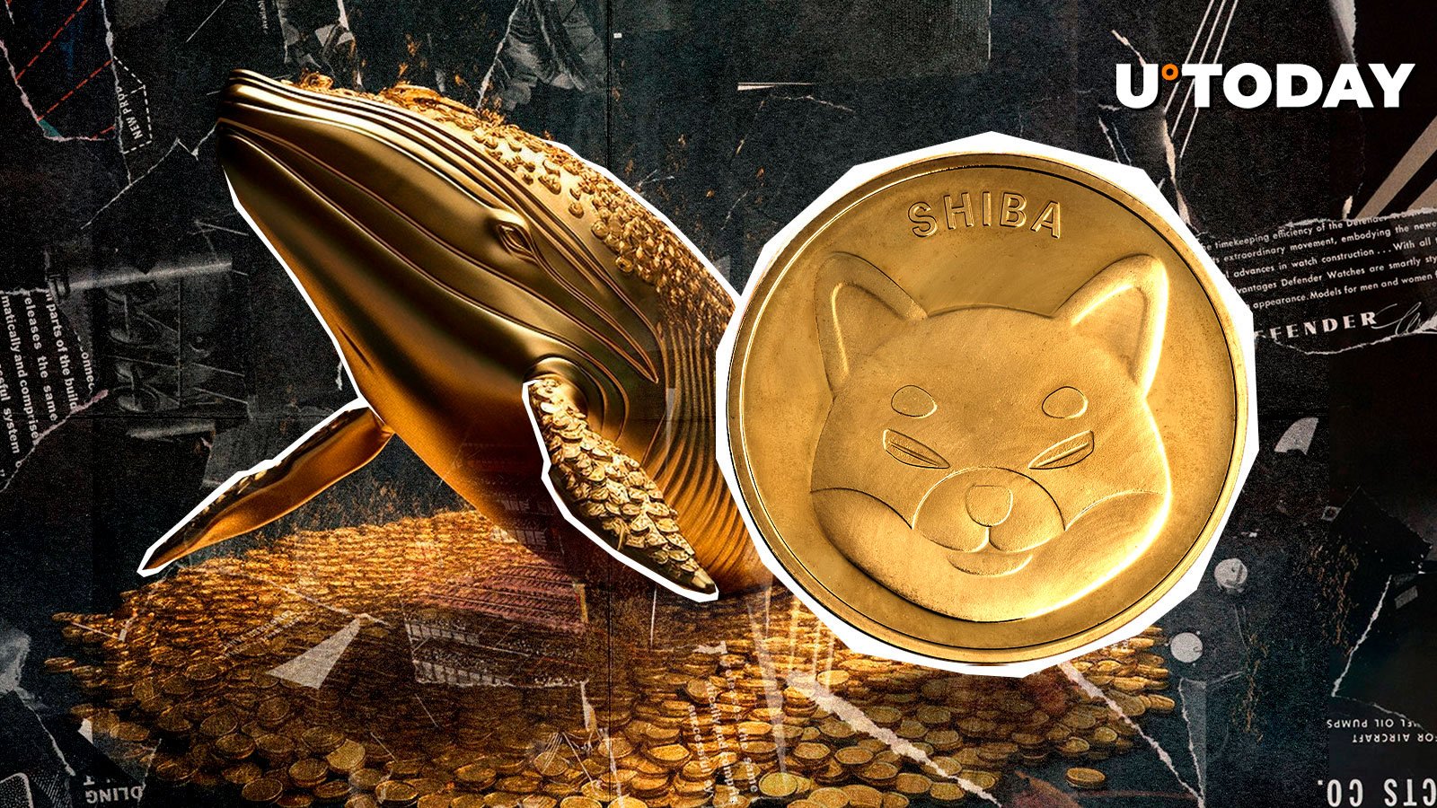 قیمت شیبا اینو (SHIB) با صعودی شدن متریک کلیدی نهنگ افزایش می یابد