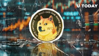 تماس مهمی که با اپراتورهای Dogecoin Node گرفته شده است، در اینجا به این دلیل است