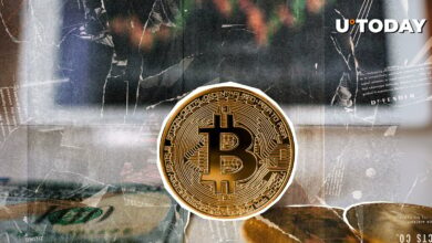 ۴۴۰ میلیون دلار در ۹ روز: بیت کوین تمام نشده است