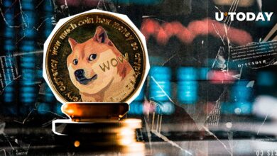 Dogecoin (DOGE) نمودار “ویرانگر” را نشان می دهد، ادعای سرمایه گذاران برتر