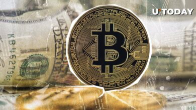 نرخ خرید بیت کوین شرکت Magnificent 7 در حال افزایش است