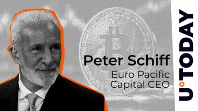 پیتر شیف، منتقد بیت کوین، دلیل کلیدی پشت آخرین نقطه عطف در ATH را توضیح می دهد.