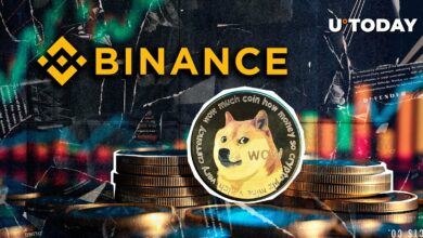 برداشت ۴,۹۹۹,۹۹۹,۹۹۹ DOGE بزرگترین بورس اوراق بهادار جهان را شگفت زده کرد: جزئیات