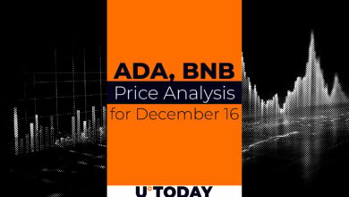 ۱۶ دسامبر پیش بینی قیمت ADA و BNB