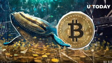 با رسیدن بیت کوین به ATH، ۹۹۹ بیت کوین به کیف پول جدید نهنگ مگا رسید