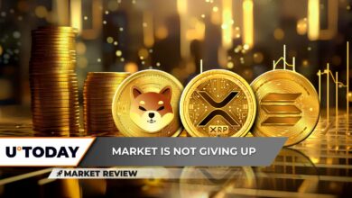 XRP برای زنده ماندن بازمی گردد، شیبا اینو (SHIB) هیچ زمینی زیر پای خود ندارد، سولانا (SOL) روند نزولی ترسناک می شود