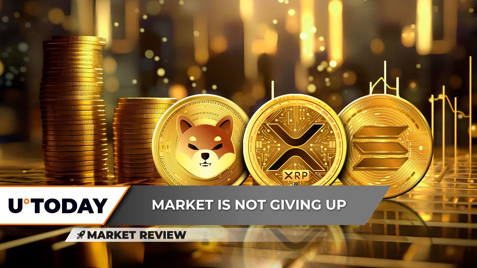 XRP برای زنده ماندن بازمی گردد، شیبا اینو (SHIB) هیچ زمینی زیر پای خود ندارد، سولانا (SOL) روند نزولی ترسناک می شود