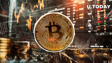 بیت کوین (BTC) در آستانه تصمیم فدرال رزرو برای نرخ بهره به زیر ۱۰۴ هزار دلار سقوط کرد