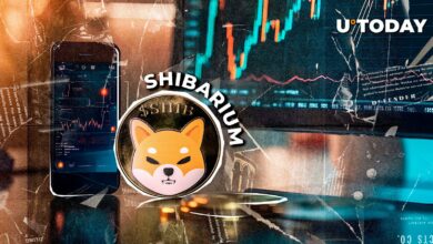 مجموعه Shibarium برای تراکنش های ۶۶۹,۰۵۳,۷۱۴, New Milestone