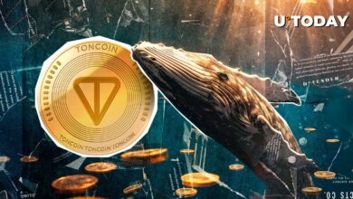 Toncoin (TON) در میان فروش ۴۰۵ میلیون دلاری در بازار ۸۰٪ در فعالیت نهنگ افزایش یافت