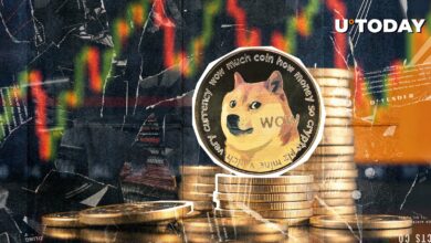 راکت های Dogecoin (DOGE) در عدم تعادل انحلال غیرعادی ۱۲۰۹٪ افزایش یافت