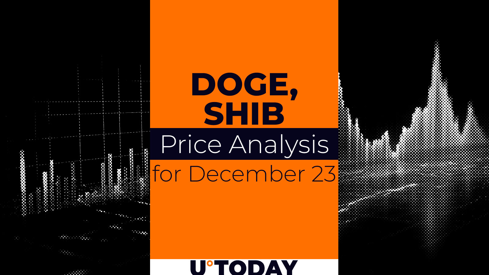 23 دسامبر پیش بینی قیمت DOGE و SHIB
