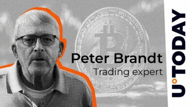 پیتر برانت الگوی نمودار عجیب را پیش از توسعه احتمالی بیت کوین از بین می برد