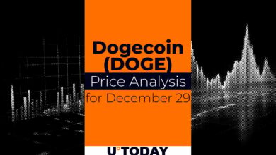۲۹ دسامبر پیش بینی قیمت DOGE