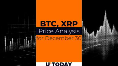 ۳۰ دسامبر پیش بینی قیمت BTC و XRP