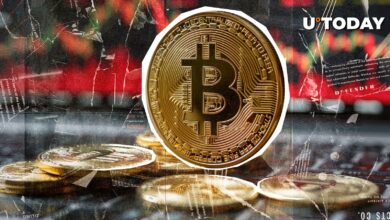 رهبر سابق کریپتو سرمایه گذاری ARK دلیل واقعی سقوط بیت کوین (BTC) را فاش می کند