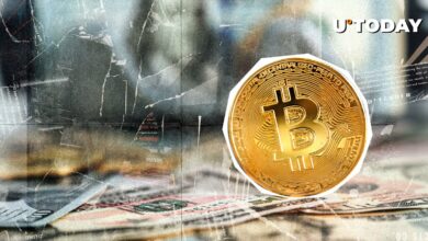 انتقال ۹۰۳ میلیون دلار بیت کوین در ۲۴ ساعت؛ پشت آن چیست؟