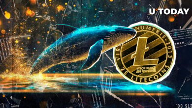 فعالیت نهنگ Litecoin منفجر می شود: آیا این یک قیمت بزرگ در حال نوسان است؟