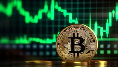 بیت کوین از ۱۰۰ هزار دلار گذشت. آیا گاوها خارج از جنگل هستند؟