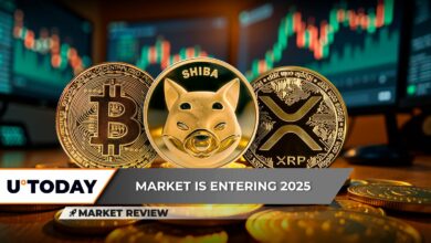 بیت کوین (BTC) پشتیبانی خود را از دست داد: آیا سال ۲۰۲۵ با سقوط آغاز می شود؟ Shiba Inu (SHIB) به سطح بحرانی می رسد، XRP برای حفظ بالای ۲ دلار تلاش می کند