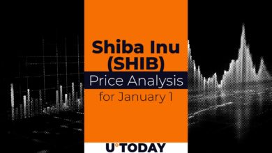 ۱ ژانویه پیش بینی قیمت SHIB