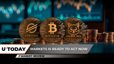 XLM در سال جدید ۳۰ درصد سود می کند، بیت کوین (BTC) با مشکل مواجه است، Shiba Inu (SHIB) مقاومت کلیدی را می شکند: اما تقریباً هیچ چیز مثبتی وجود ندارد