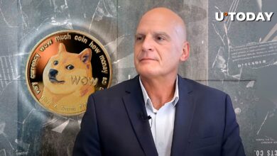Mike McGlone DOGE و 'Unlimited Supply Cryptos' را به 'Dot-Com Bubble' تشبیه می کند