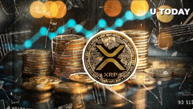 افزایش XRP در تعداد مالکان و پشت سر گذاشتن رقبای خود