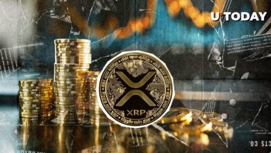 این متریک XRP نشان می دهد که افت قیمت مهم نیست