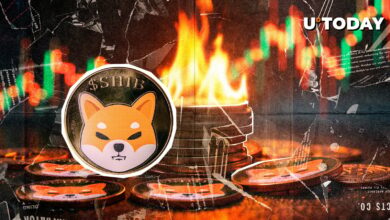 SHIB 104% افزایش می یابد، در اینجا یک پیشرفت شگفت انگیز است