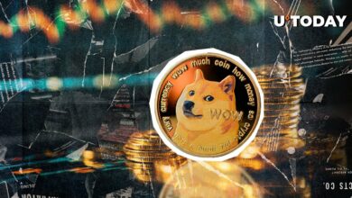 Dogecoin (DOGE) پشتیبانی عمده ای را پیدا می کند، فقط ۱۰۰٪ به دور از اوج تمام وقت