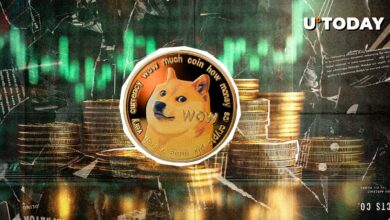 Dogecoin (DOGE) 10٪ به بالاترین حد پنج هفته افزایش یافت: آیا این تازه شروع شده است؟