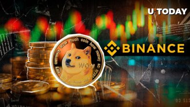 ۴۰۰,۰۰۰,۰۰۰ Dogecoin (DOGE) نگرانی های فروش در Binance Spark