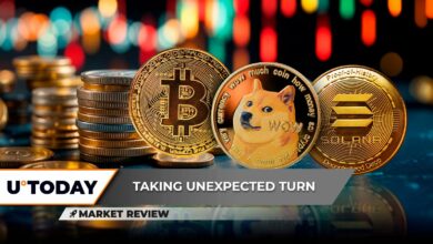 بیت کوین (BTC) در ۱۰۲,۰۰۰ دلار گیر کرد، Dogecoin (DOGE) 20٪ از دست داد، اما اشکالی ندارد، Solana (SOL) 21٪ در سه روز کاهش یافت: بعد چیست؟