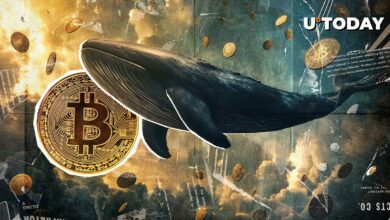 شتاب نهنگ های بیت کوین با جذب ETF ها نزدیک به ۲۵۰ میلیون دلار