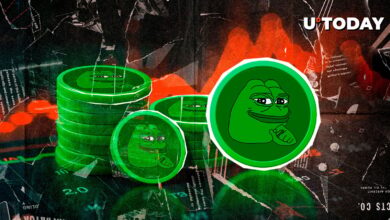 Pepe (PEPE) به پایین ترین سطح ۲۰۲۵ رسید: آخرین سطح پشتیبانی اینجاست