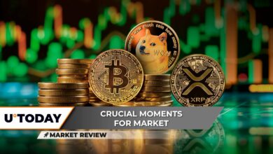 روند صعودی بیت کوین پنهان (BTC): 3 سطح برای تماشا، این می تواند به افزایش قیمت XRP پایان دهد، Dogecoin (DOGE) دست یاری بزرگی دریافت کرد