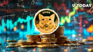 بعدی اصلی Shiba Inu (Shib) نباید پشتیبانی را از دست بدهد