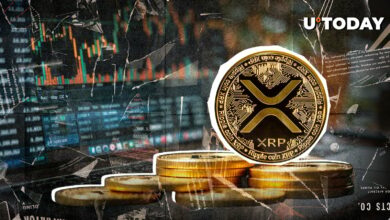 XRP باندهای بولینگر پرواز می کند زیرا بیشترین گسترش تاکنون ثبت شده است