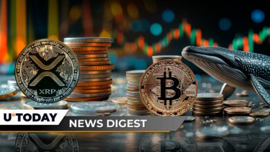 ۳،۷۵۰ ٪ از بول های عدم تعادل انحلال XRP ، Bitcoin ETF تقریباً ۲۵۰ میلیون دلار ورودی ، Dogecoin ETF Surprise Surprise: Crypto News Summary U.Today را جلب می کند.