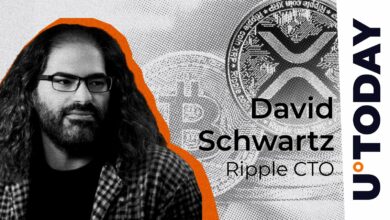 Bitcoin Satoshi: Ripple CTO ، Key XRP ، BTC Insight Shares