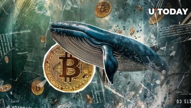 با توجه به داده های رمزنگاری ، بیت کوین (BTC) در حال خوردن نهنگ های جدید