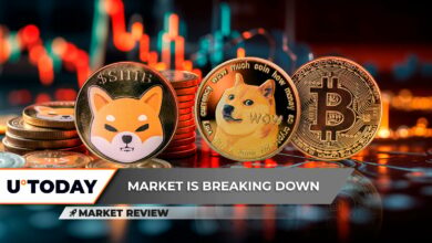 سوالات نان Critical Shiba Inu (Shib) ، بازیابی بیت کوین (BTC) در پشتیبانی اساسی Dogecoin (DOGE) خیلی واقع بینانه نیست