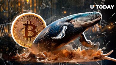 نهنگ بزرگ بیت کوین جدید که با ۱۳۰۰ شیفت BTC متولد شده است: جزئیات