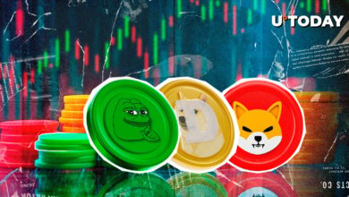 آیا در کانون توجه در Doge ، Shib و Pepe ، آیا معدن بزرگ پستان بازگردد؟