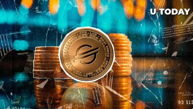 Major Stellar (XLM) متریک افزایش گسترده: چه اتفاقی می افتد