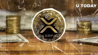 XRP با ورود ۵.۷ میلیون دلاری در میان هرج و مرج بازار کریپتو برنده یگانه شد